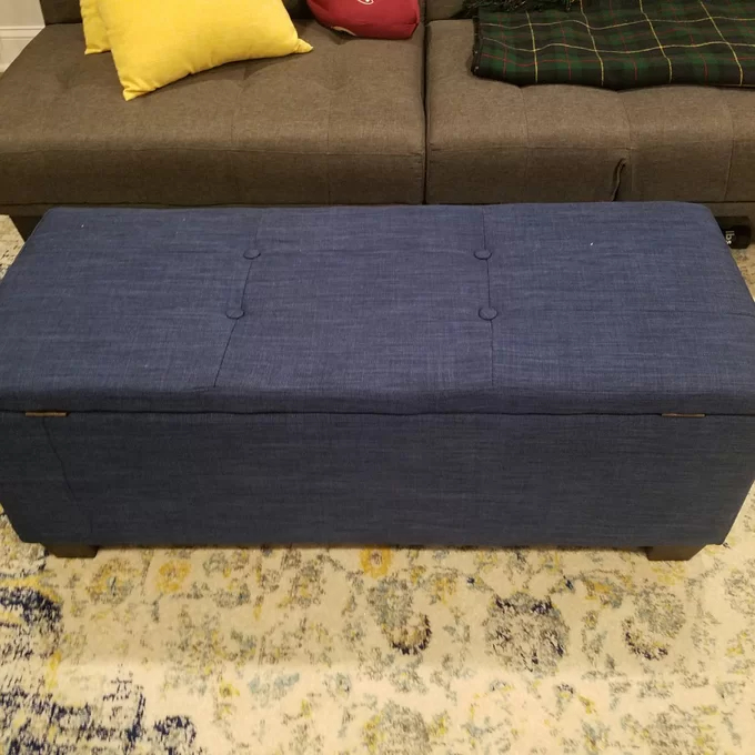 Edyth Upholstered Storage Ottoman