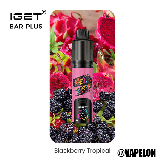 IGET BAR V4 15000 Puffs - Blackberry Tropical