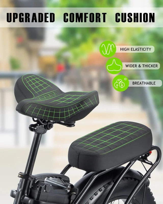 20in Fat Tire Electric Bike, 800W, 48V 32Ah, Two Seats