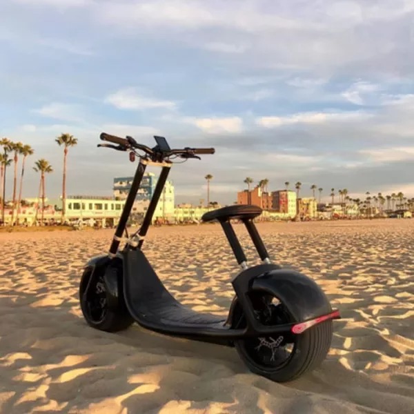 Adult electric scooter