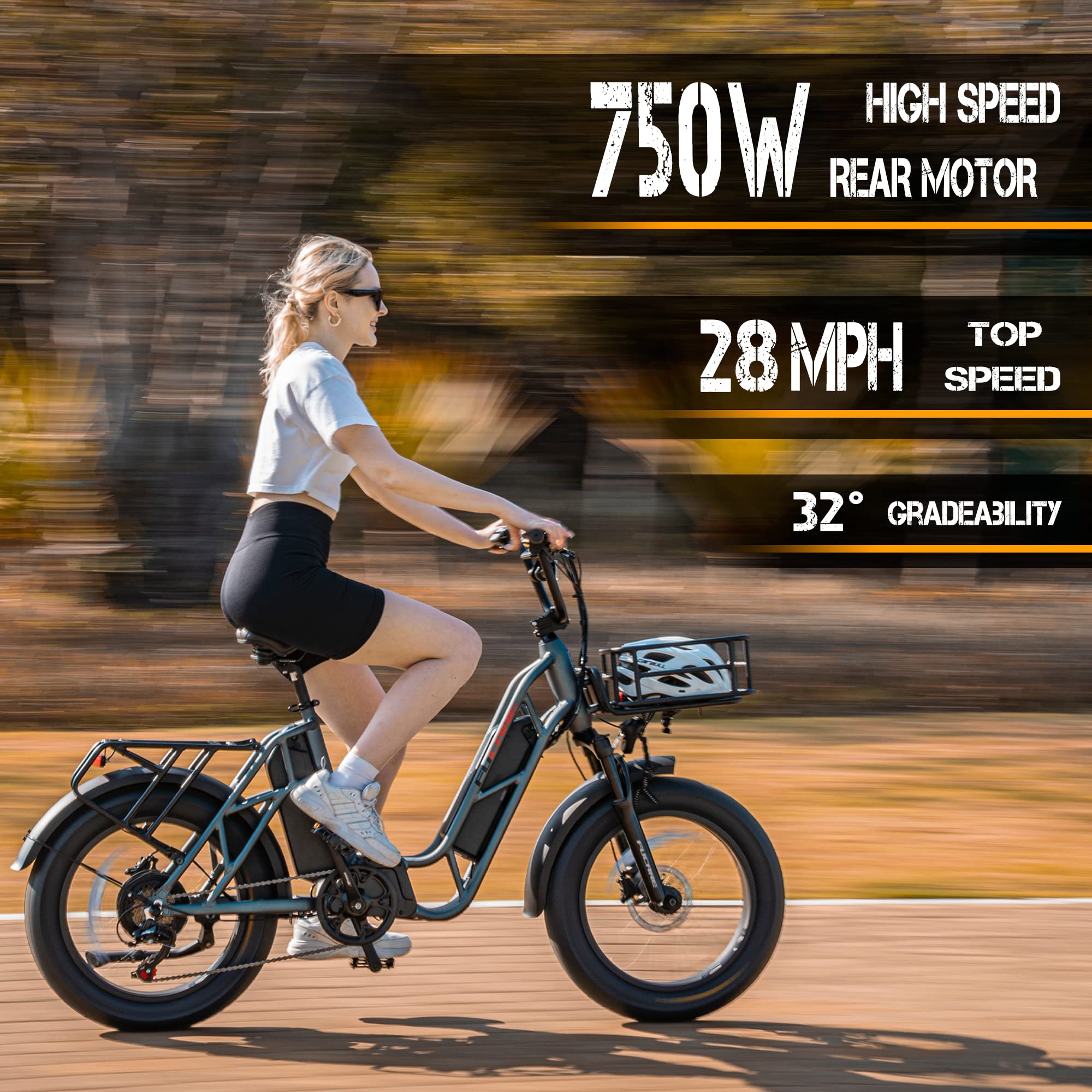 750W Electric Bike for Adults