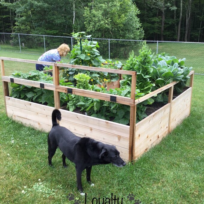 8x8 ft Cedar Garden in a Box