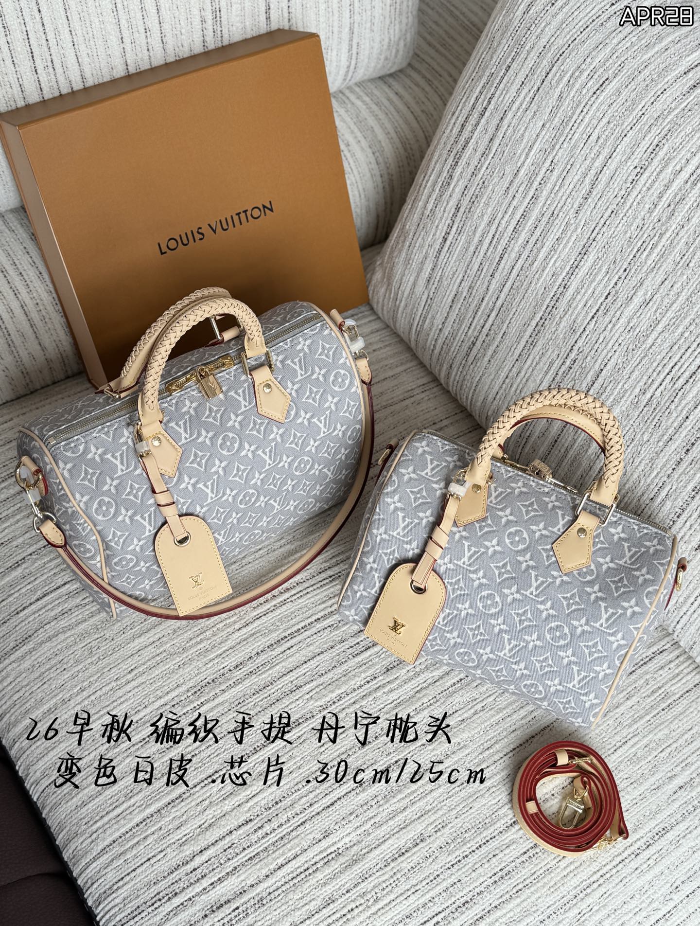 LV Speedy Bag