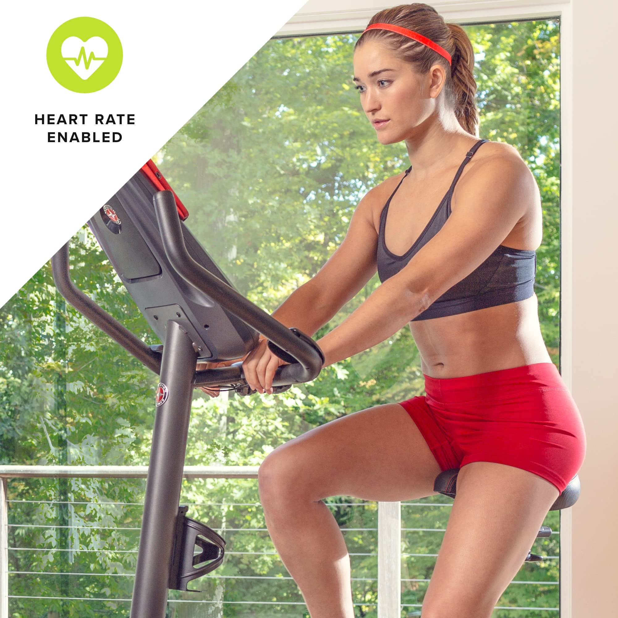 Schwinn Upright Bike Series