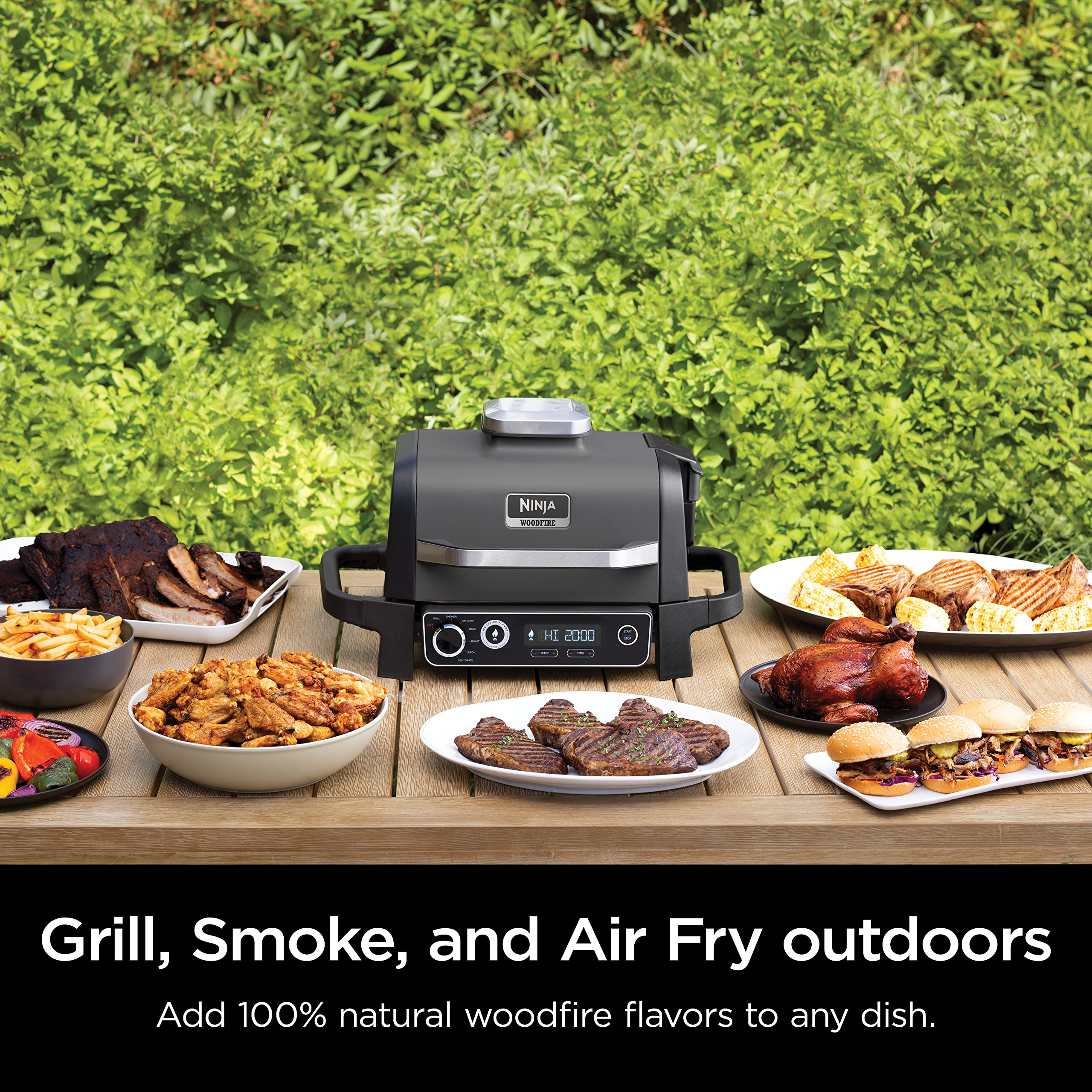 Ninja OG701 Woodfire Grill