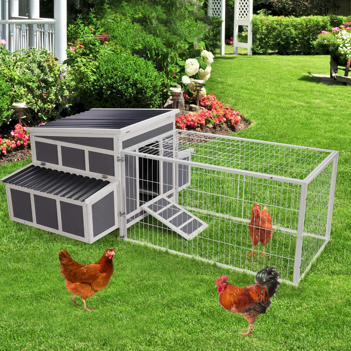Wooden Chicken Coop Hen House