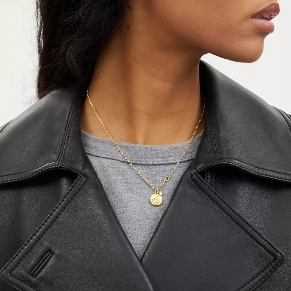 COAthtCH Aquarius Coin Pendant Necklace