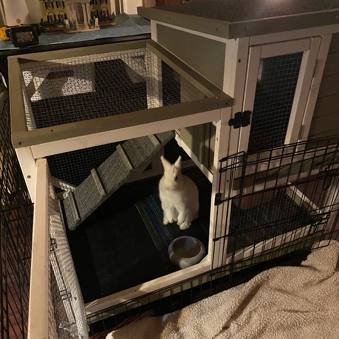 Gossy Weather Resistant Rabbit Hutch with Ramp