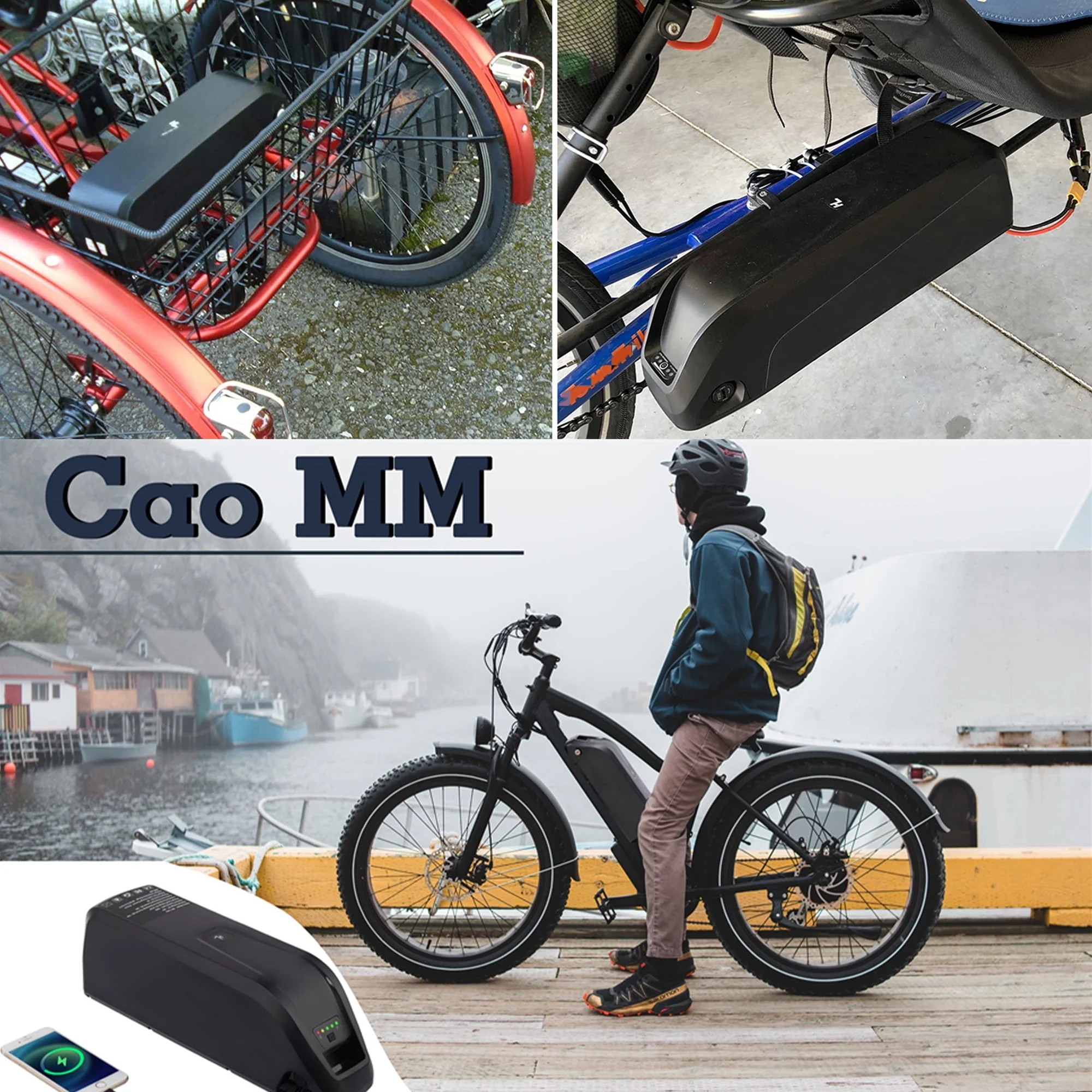 48V 20Ah Lithium E-Bike Battery with Charger
