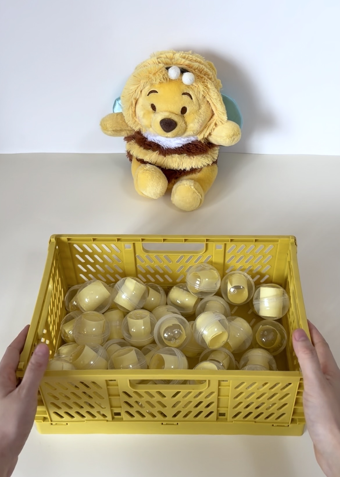 WP Honey-loving bear   Mystery Scoop
