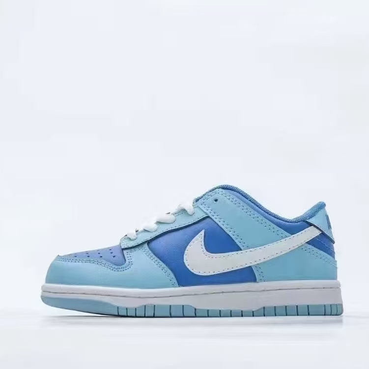 Kids Dunk