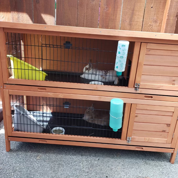 Griffen Weather Resistant Hutch