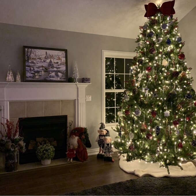 Dunhill Fir 120'' Lighted Artificial Fir Christmas Tree