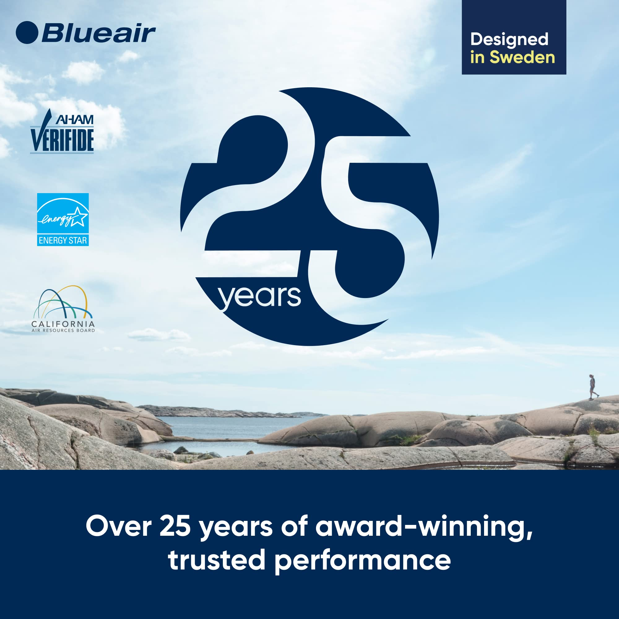 BLUEAIR Air Purifier Large Room