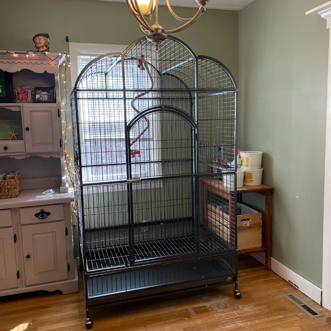 Backes 78.25'' Steel Victorian Top Floor Bird Cage with Wheels