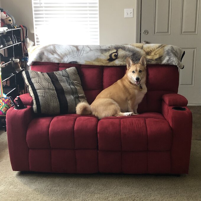 Grigor 57.5'' Wide Home Theater Loveseat with Cup Holder