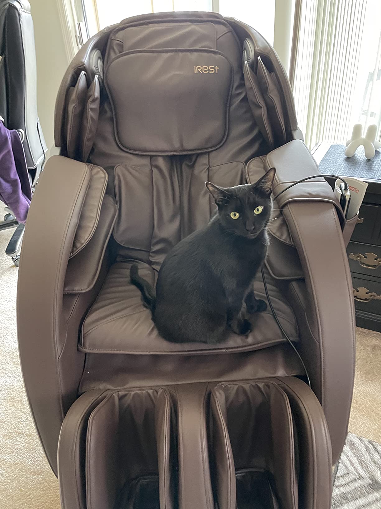 iRest SL Track Massage Chair Recliner
