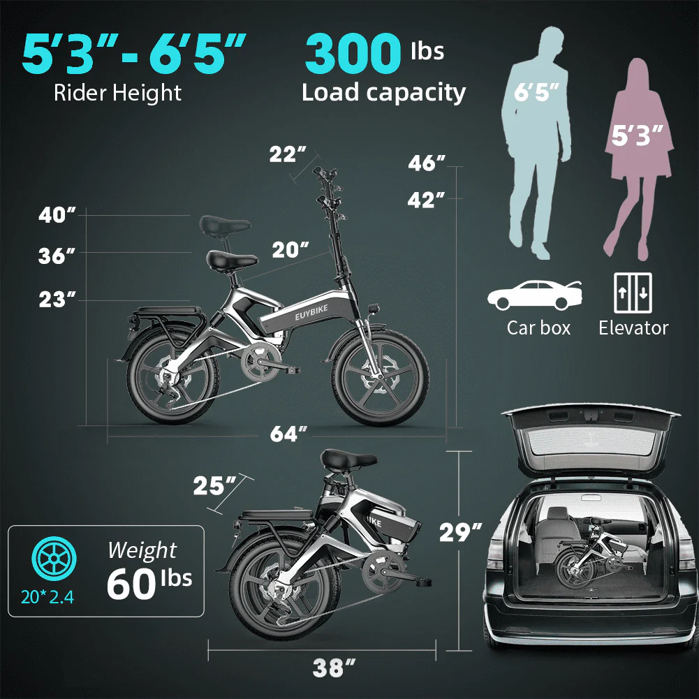 EUY 20in Folding Electric Bike, 500W, 48V 12.8Ah, Black