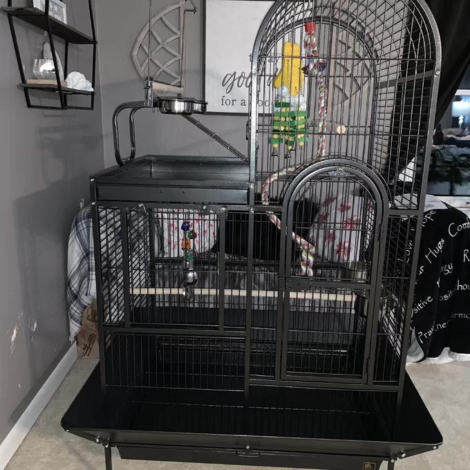 Nickelson 66'' Steel Play Top Floor Bird Cage with Wheels