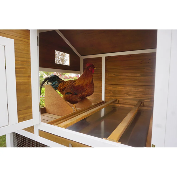Shanae Walk In Chicken Coop with Chicken Run For Up To 8 Chickens