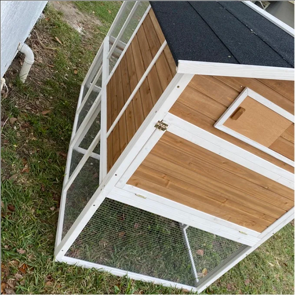 Shanae Walk In Chicken Coop with Chicken Run For Up To 8 Chickens