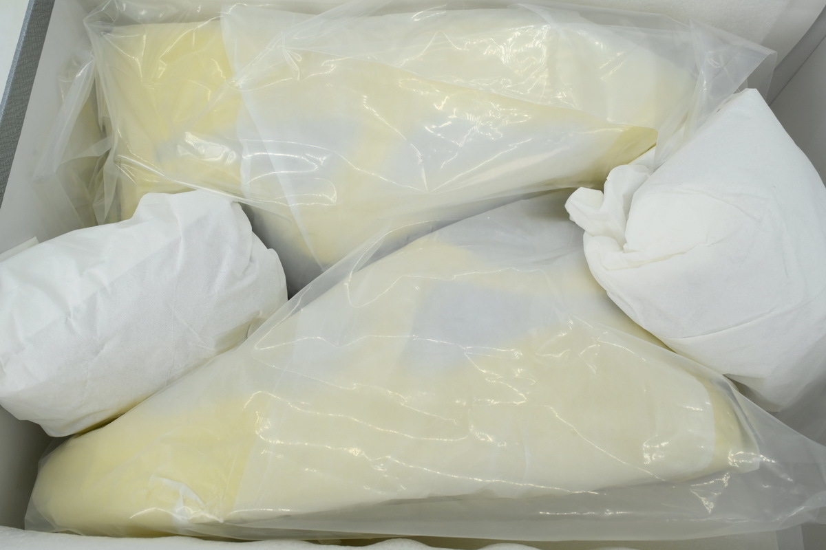 Prada America's Cup Sneakers Yellow