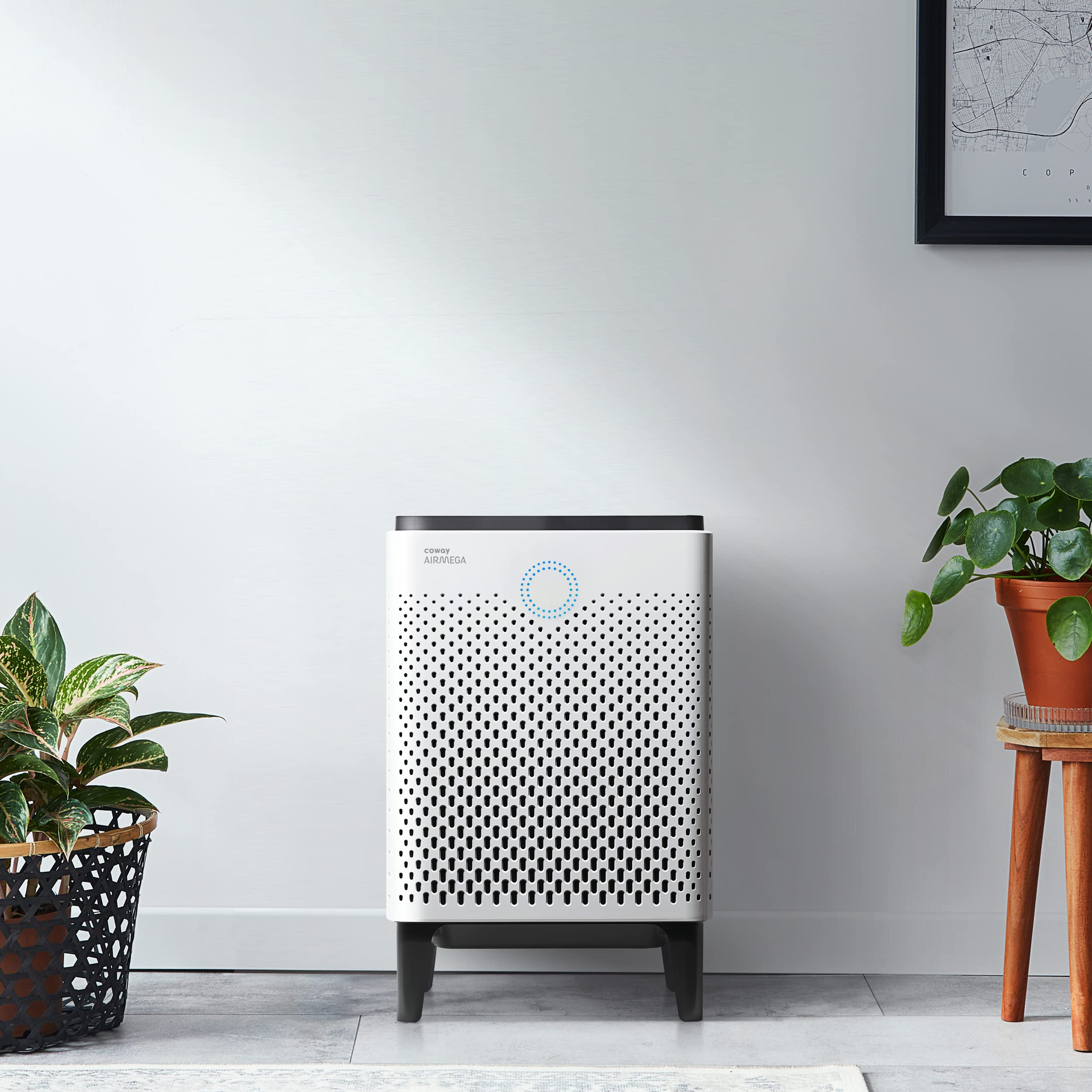 Coway Airmega 300 Smart Air Purifier True HEPA Air Purifier