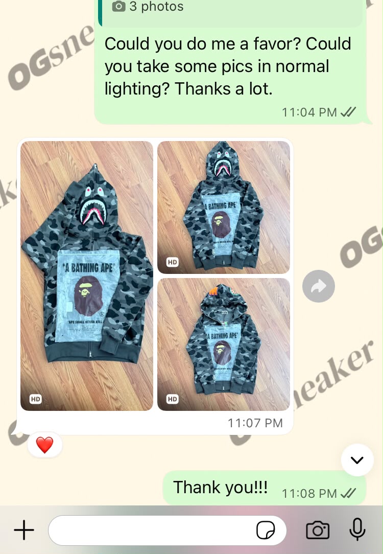 Pasted Image