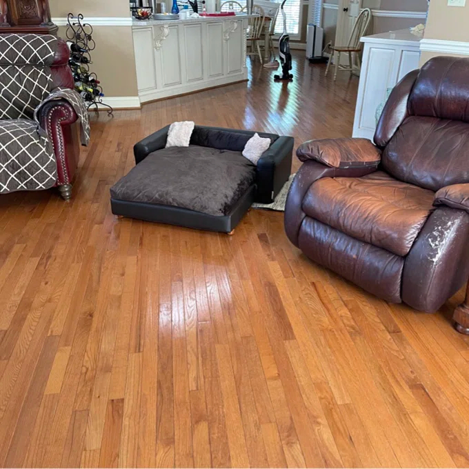 Kayenta Premium Dog Sofa