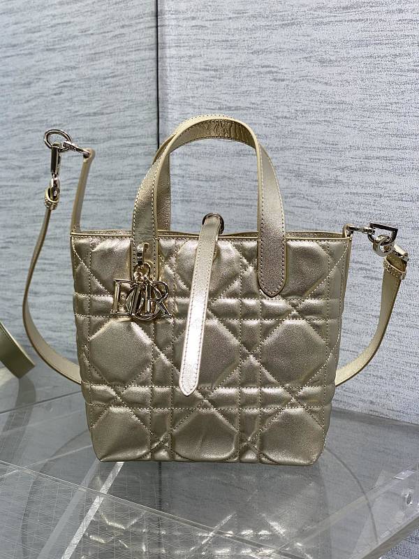 Dior Toujours Vertical Tote Bag Small Champagne