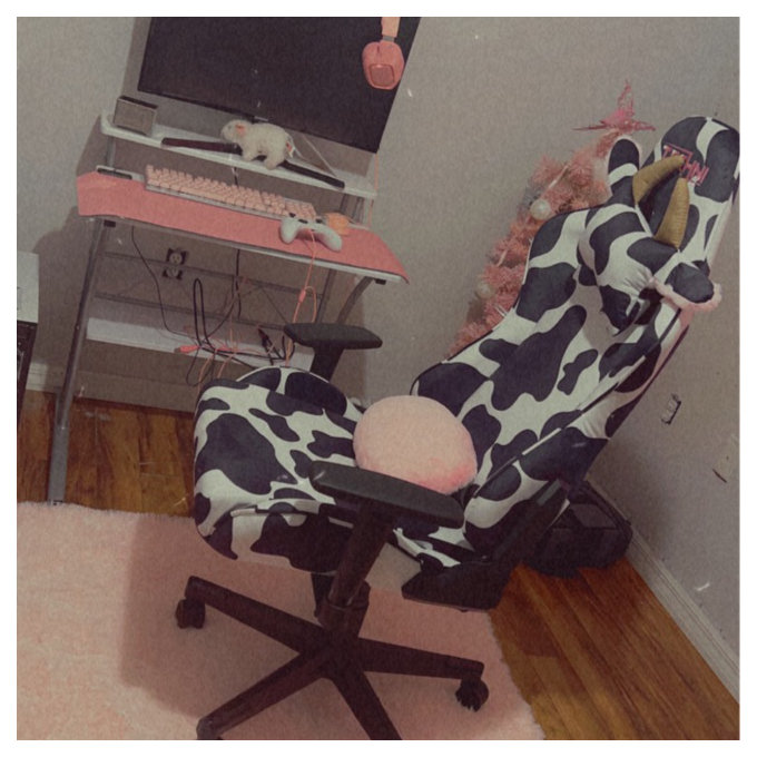 PC & Racing Gaming Chair