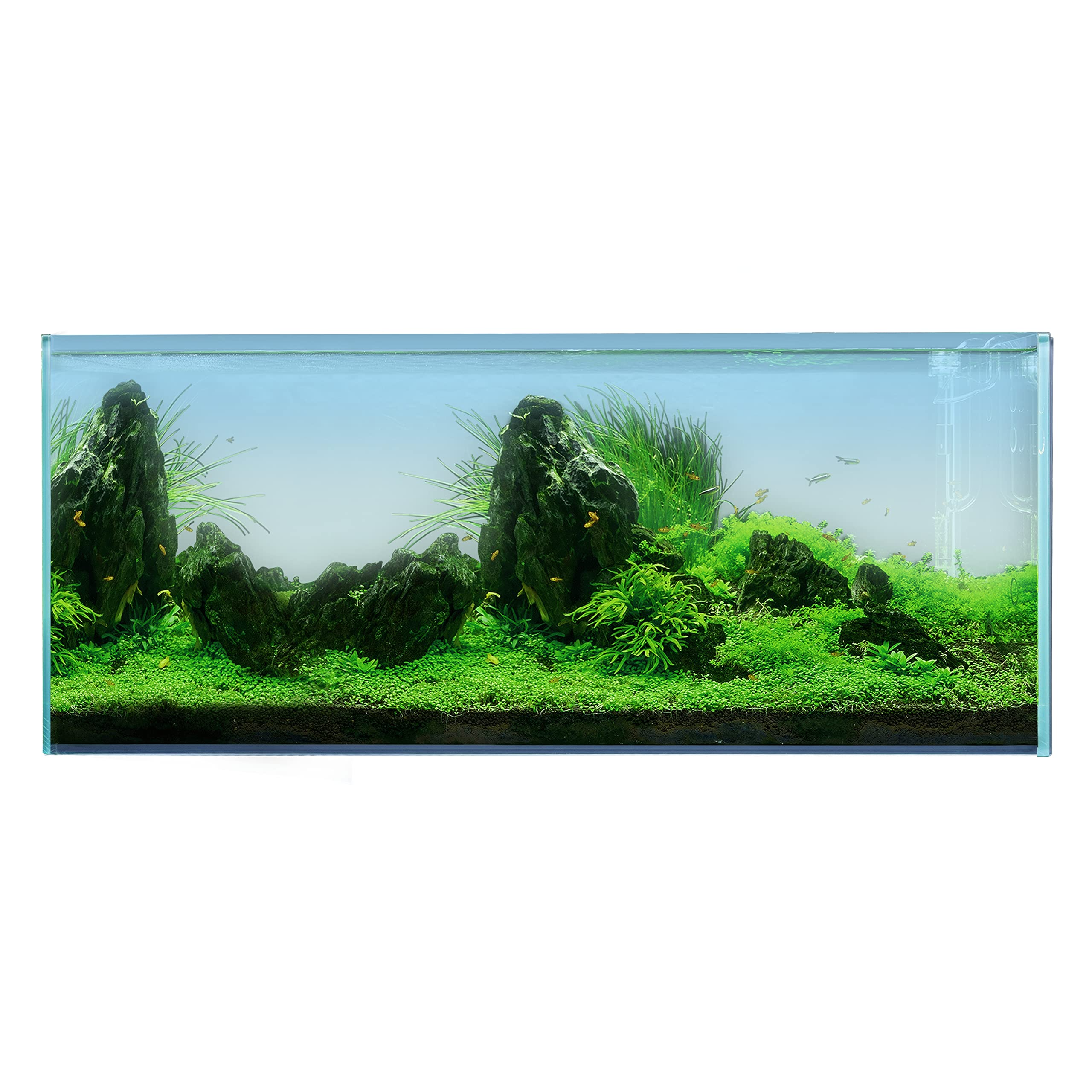 120P 72.2 Gallon Rimless Low Iron Aquarium Tank