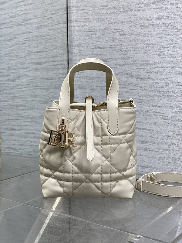 Dior Toujours Vertical Tote Bag Small Biscuit Leather