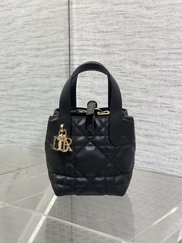 Dior Toujours Vertical Tote Bag Mini Black Leather