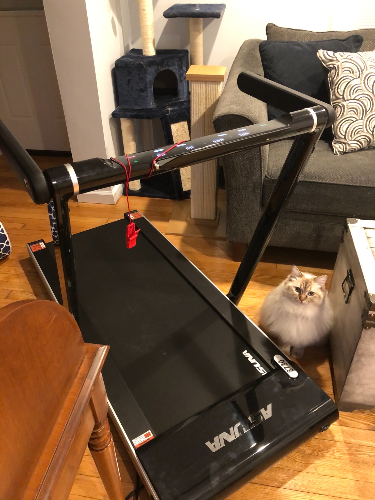 ASUNA Premium Slim Folding Treadmill Running Machine with