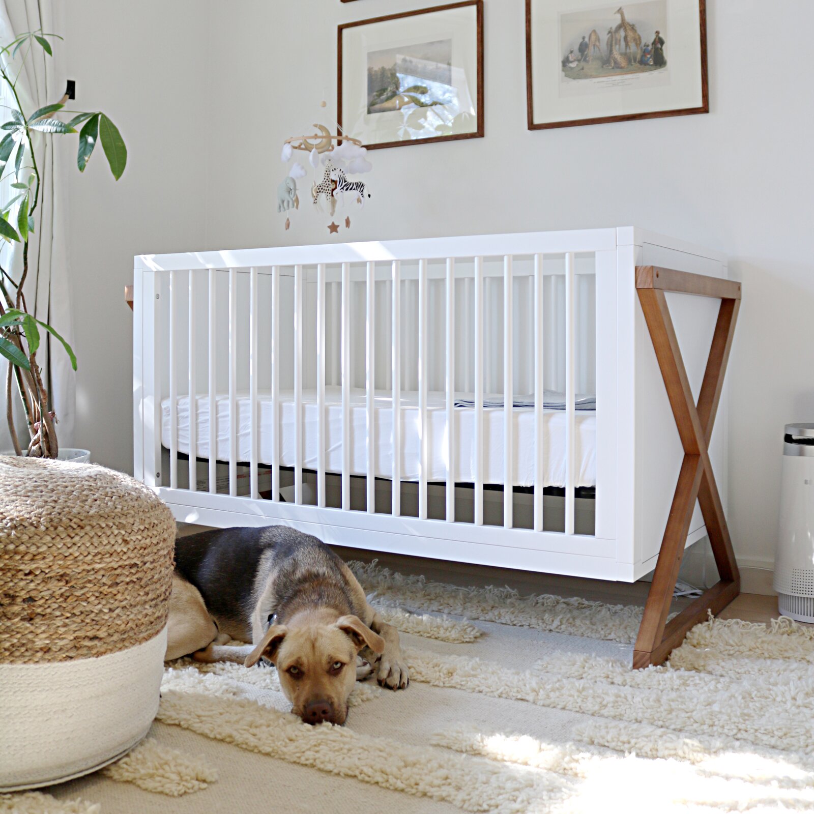 Equinox 3-in-1 Convertible Crib