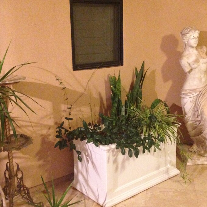 Anastasiya Self Watering Plastic Planter Box