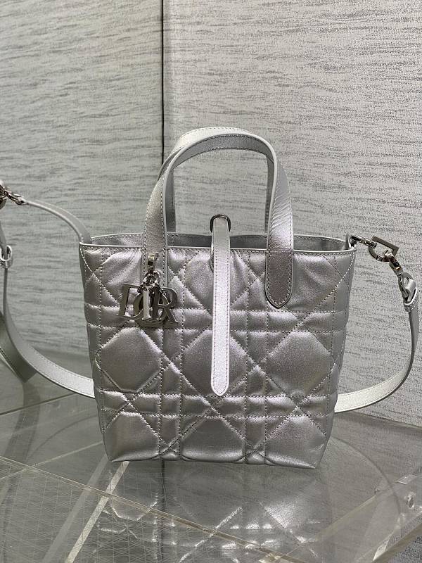Dior Toujours Vertical Tote Bag Small Silver