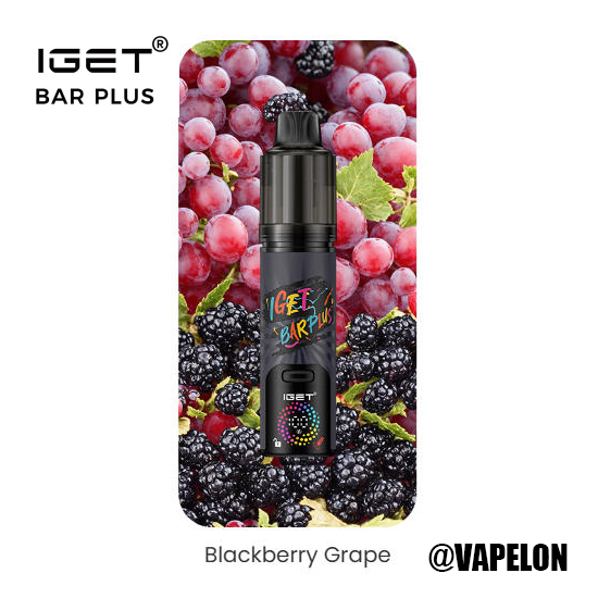 IGET BAR V4 15000 Puffs -  Blackberry Grape