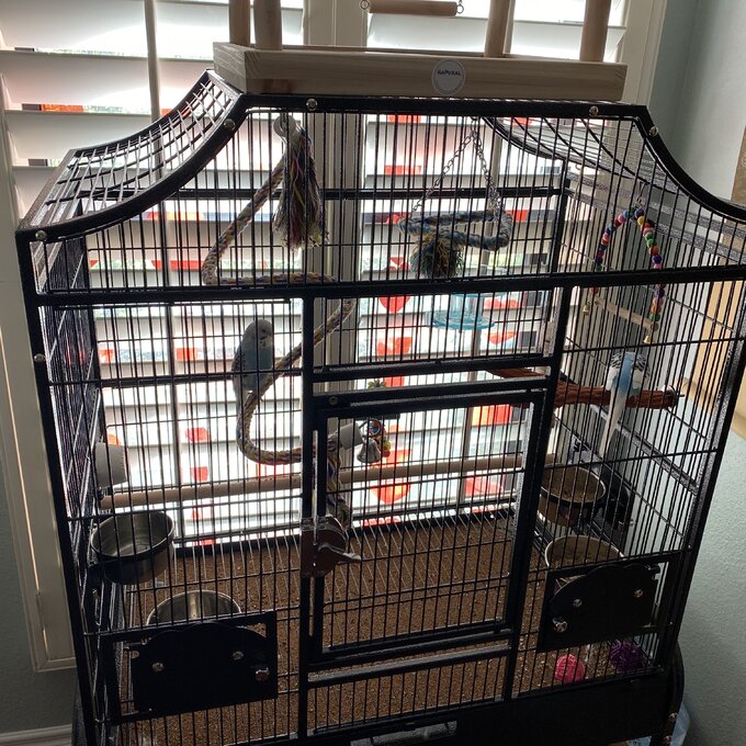 Elinor 55'' Iron Victorian Top Floor Bird Cage with Wheels