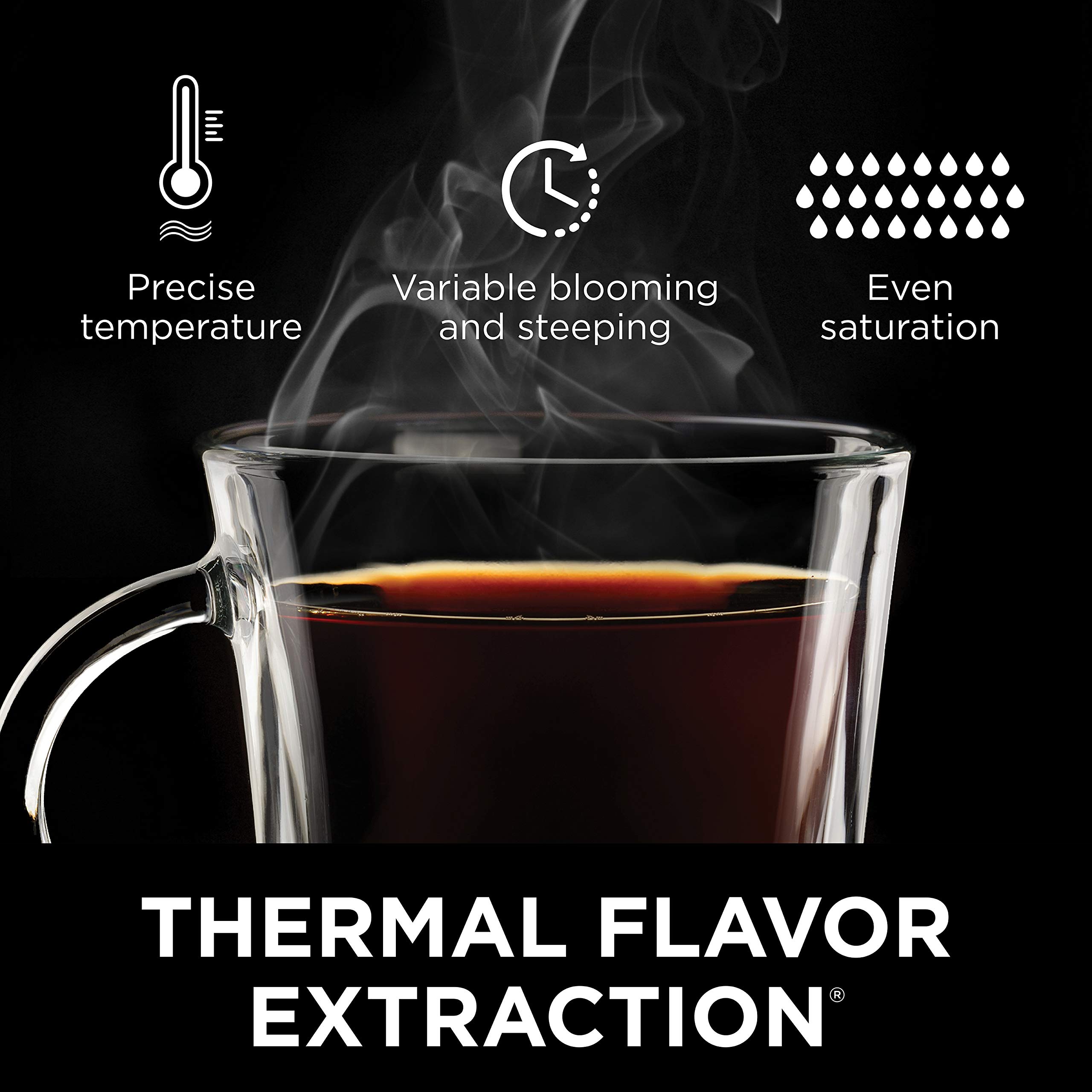 Hot & Cold Brewed System