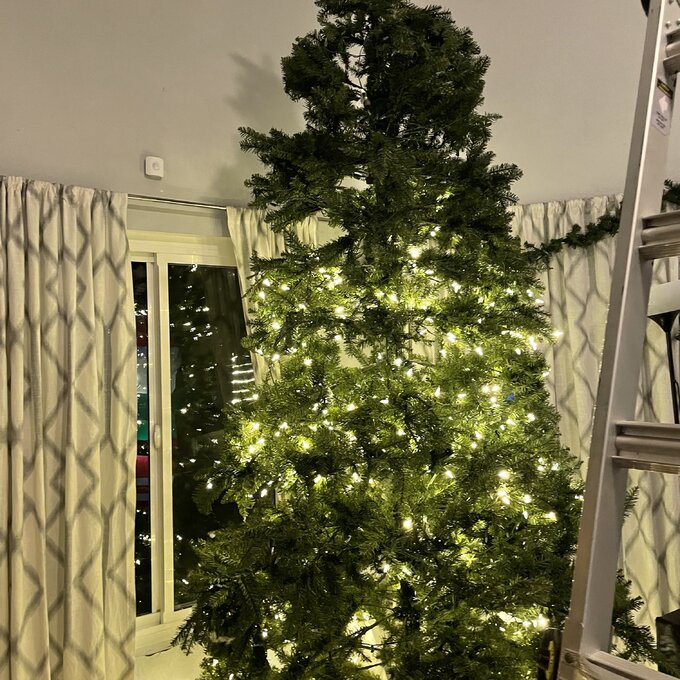 Dunhill Fir 120'' Lighted Artificial Fir Christmas Tree