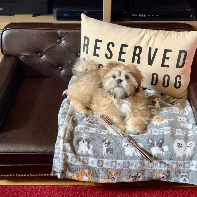 Humphery Dog Sofa