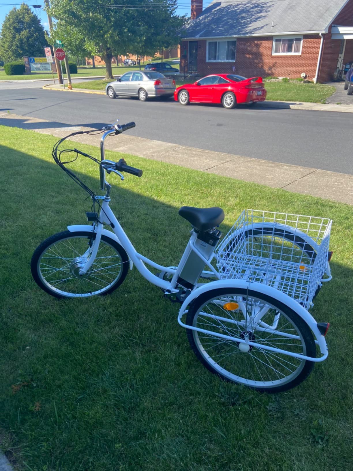 3 Wheel Electric Bike for Adults with 250w Motor