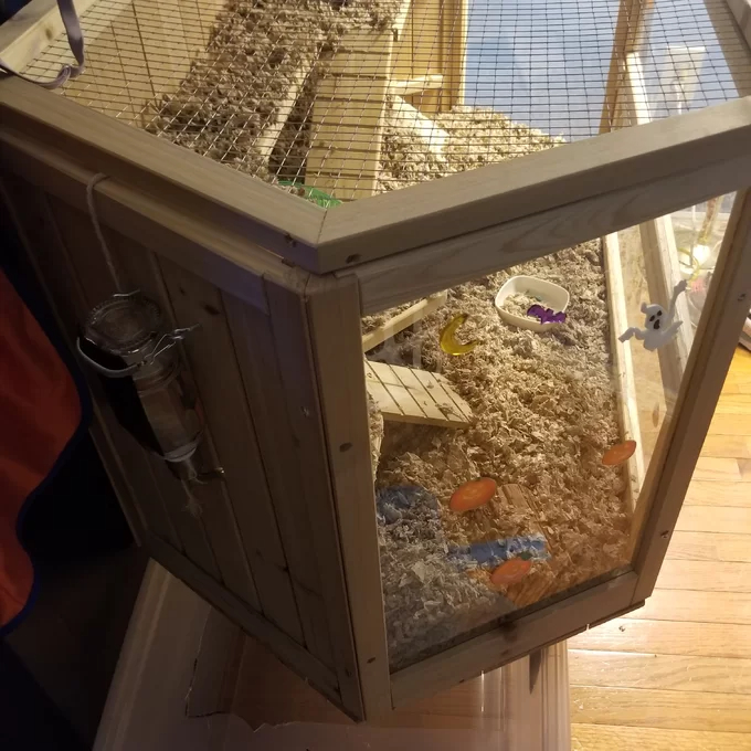Axtell Cage with Ramp