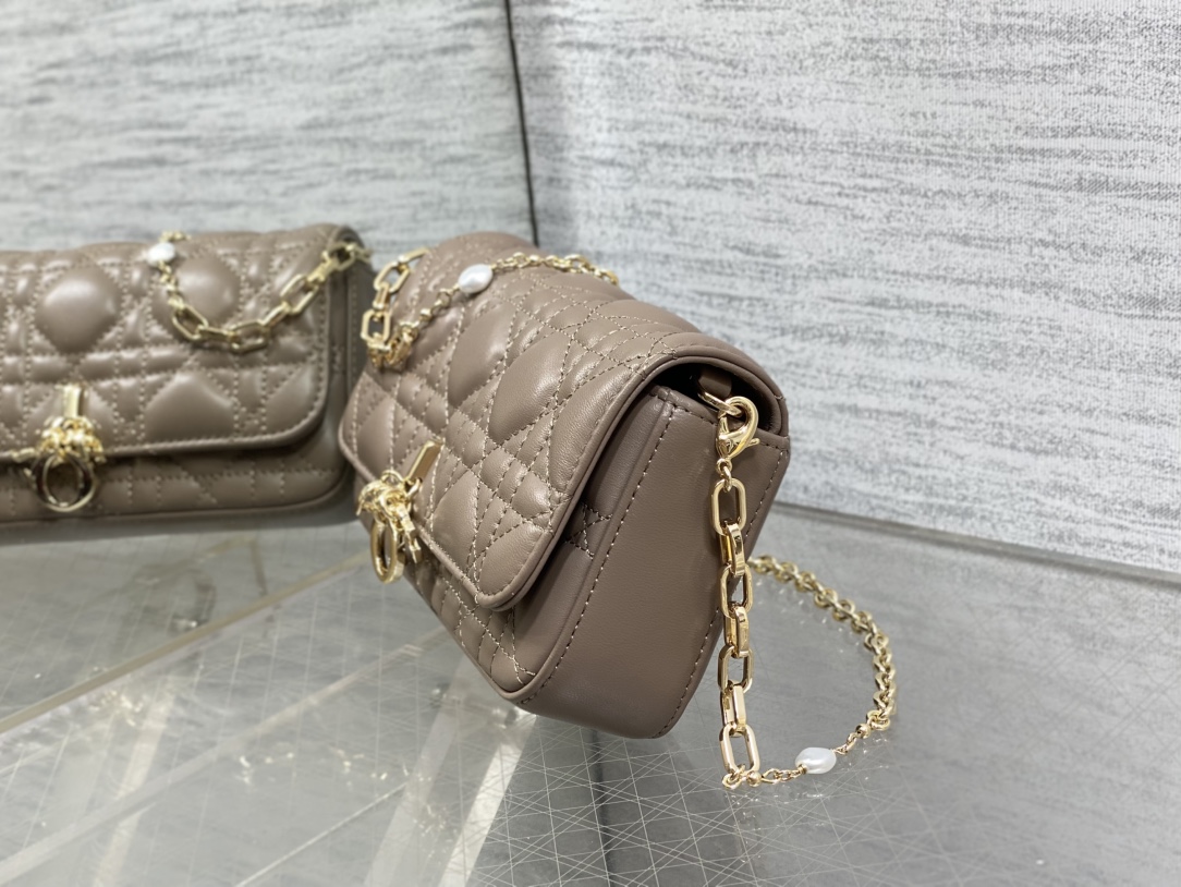 Dior Caro Taupe Bag