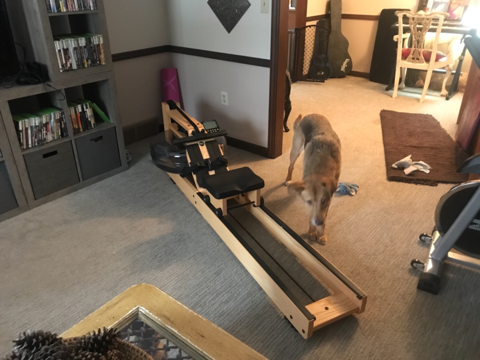 WaterRower Natural Rowing Machine S4