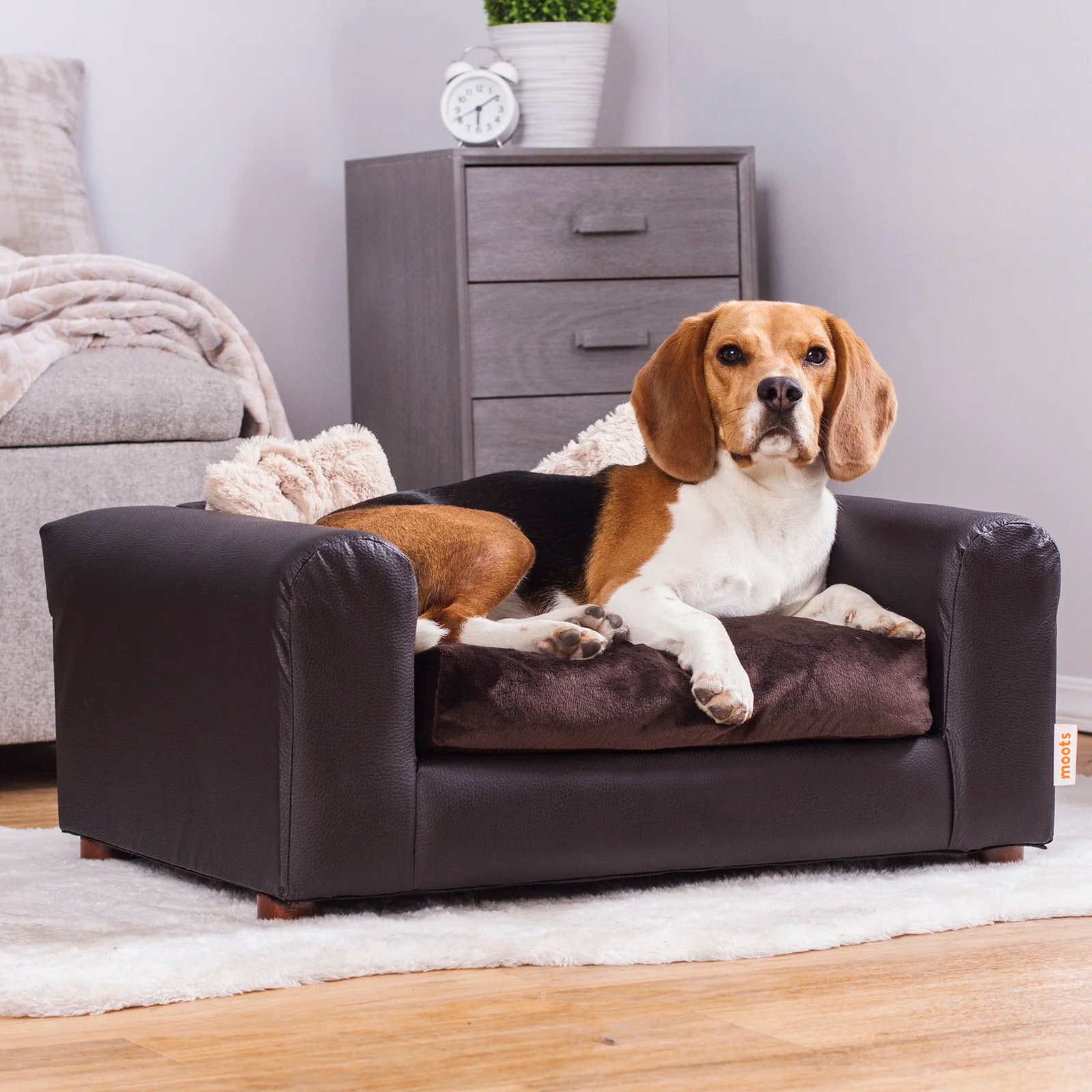 Kayenta Premium Dog Sofa