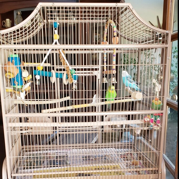 Elinor 55'' Iron Victorian Top Floor Bird Cage with Wheels