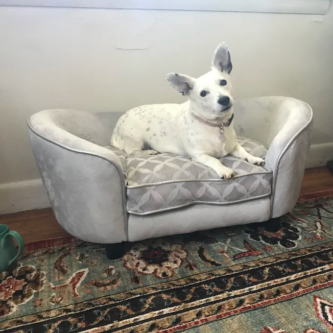 Lola Dog Sofa
